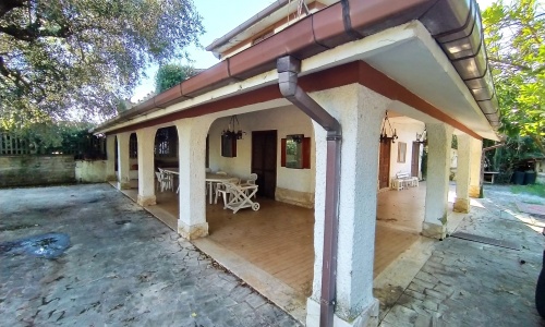 Dettagli