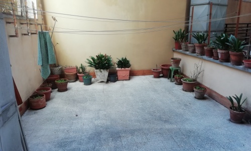 Dettagli