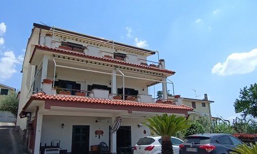 Dettagli