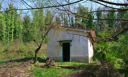 Dettagli