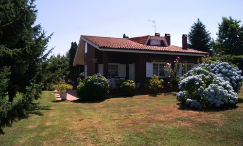 Dettagli