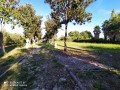 VIALE ENTRATA